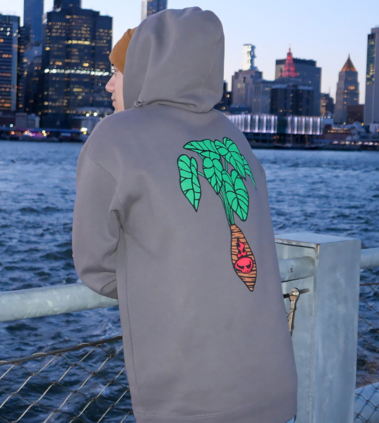 Kaua'i Taro Pullover Hoodie