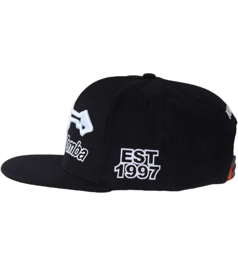 Power 3D Puff Snapback Hat